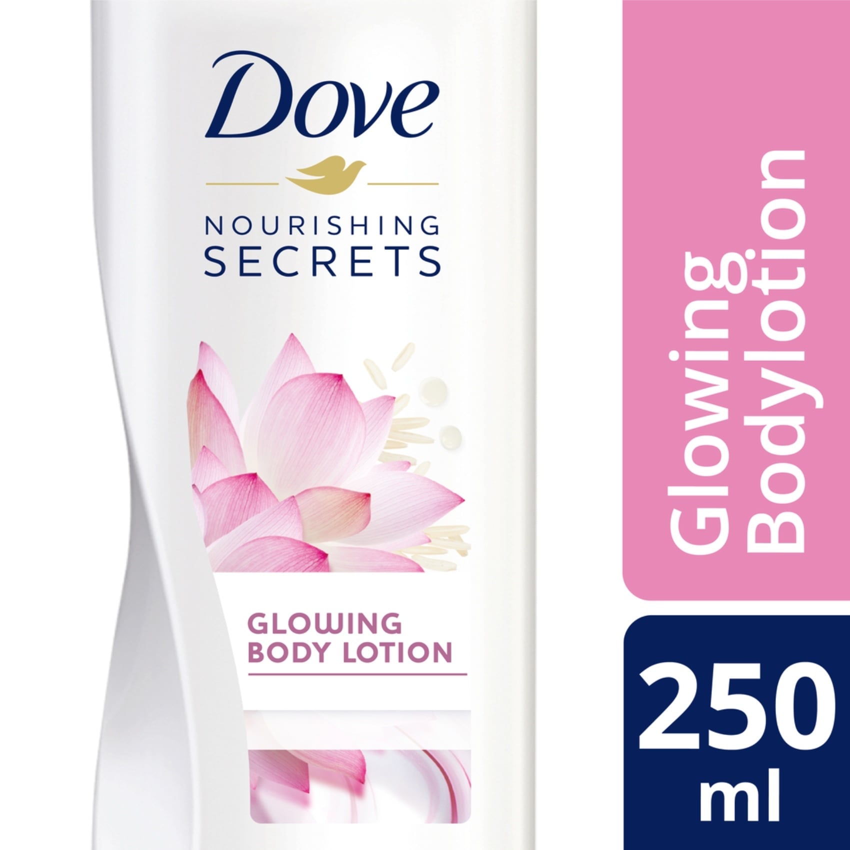 Al Meera Consumer Goods (Q.P.S.C) > Body Lotion & Oil > DOVE BODY