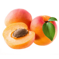 Stone Fruits