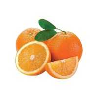 Orange, Lemon & Citrus Fruits