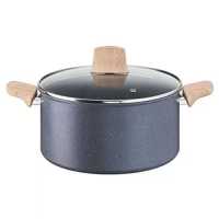 Tefal Nat Frce Stewpot 24Cm+Lid G2664683