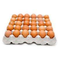 AL BADIA Brown Eggs Large 30's