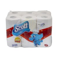 SCOTT Towel Roll 2Ply 6Rolls