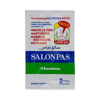 Salonpas Patch Pain Relief Large 2pcs