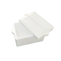 Nafa Ice Box Small 35X25X20Cm