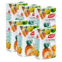 KDD Cocktail Juice 250ml x 6