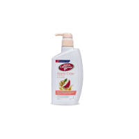 LIFEBUOY APPLE CIDER BODYWASH 500ML