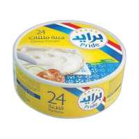 Pride Triangle Portions 24P 336g