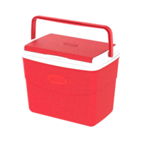 Cosmo Ice Box 30L Picnic 000160