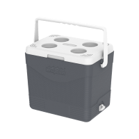 Cosmo Ice Box 24L Picnic Assorted