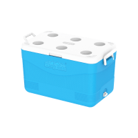 Cosmo Ice Box 60L Picnic Assorted