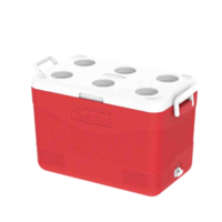 Cosmo Ice Box 46L Dlx46 000148