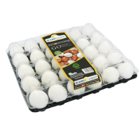 AL ZAIN Fresh White Eggs Large 30's