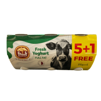 BALADNA YOGURT FULL FAT REG 170G X 6
