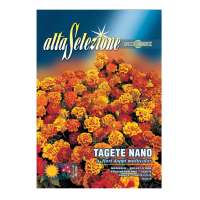 ALTA Flower Tagete Nano-Marigold