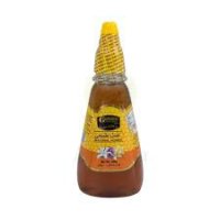 Golden Nectar Natural Honey Squeeze 250Gm