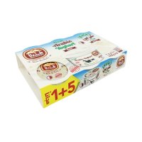 BALADNA Arabic Yogurt 170g x 6