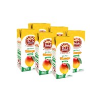 BALADNA UHT Juice Mango 200ml x 6