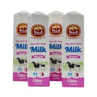 BALADNA Skimmed Milk Long Life 1Lx4