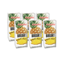 BREAK TIME Juice  Pineapple 200ml x 6