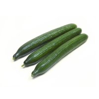 Cucumber Long Holland Per KG