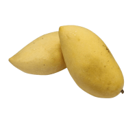 Mango Thailand