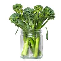 Broccoli Baby  Imp