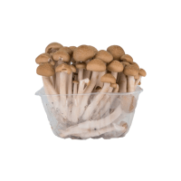 MUSHROOM SHIMEJI PKT IMP