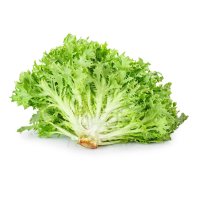 LETTUCE FRISE