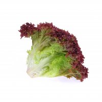Lettuce Lollo Biondo Imp Per KG
