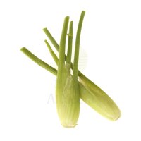 Baby Fennel (per pack)