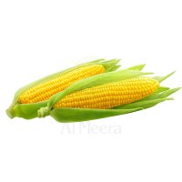Corn Packet Lebanon