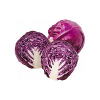 Cabbage Red Import