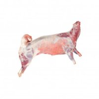Lamb Carcass © Syria (Per Kg)