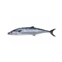 King Fish Medium Whole (per kg)