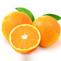 Orange Valencia Morocco (per kg)