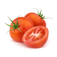 Tomato Morocco
