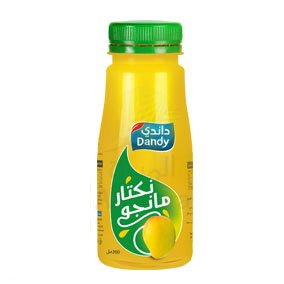 DANDY Mango Nectar 200ml