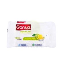 SANITA Wet Wipes Antibacterial 10's